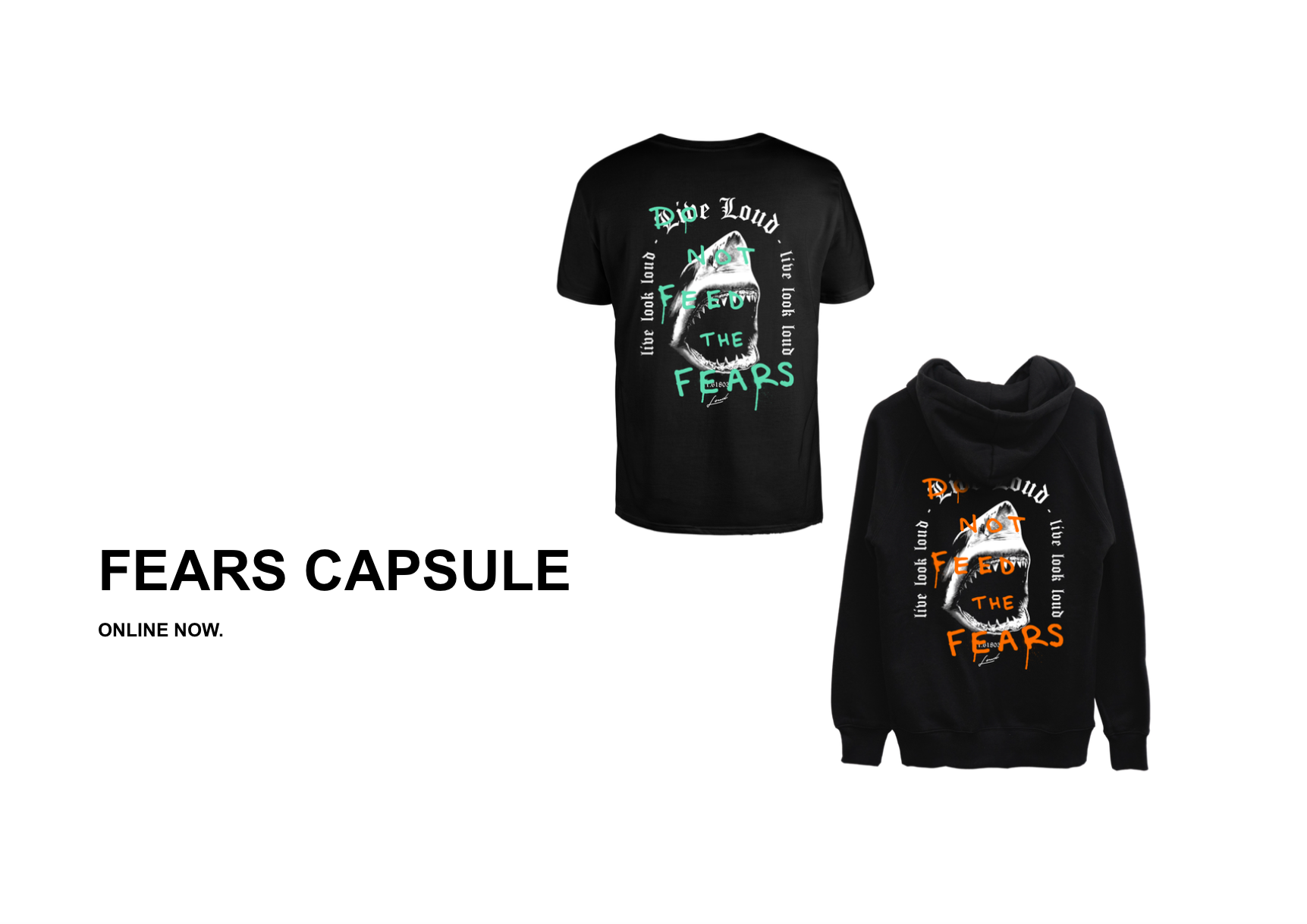 FEARS CAPSULE - ONLINE NOW