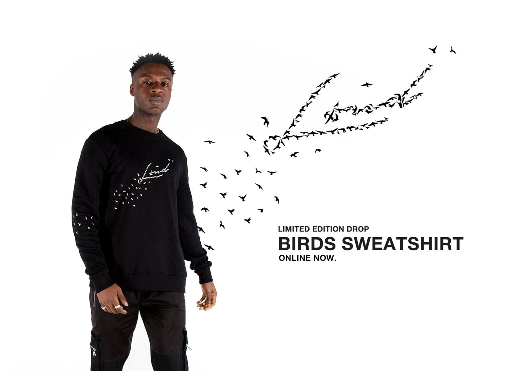 Loud Birds Sweatshirt - Online now.